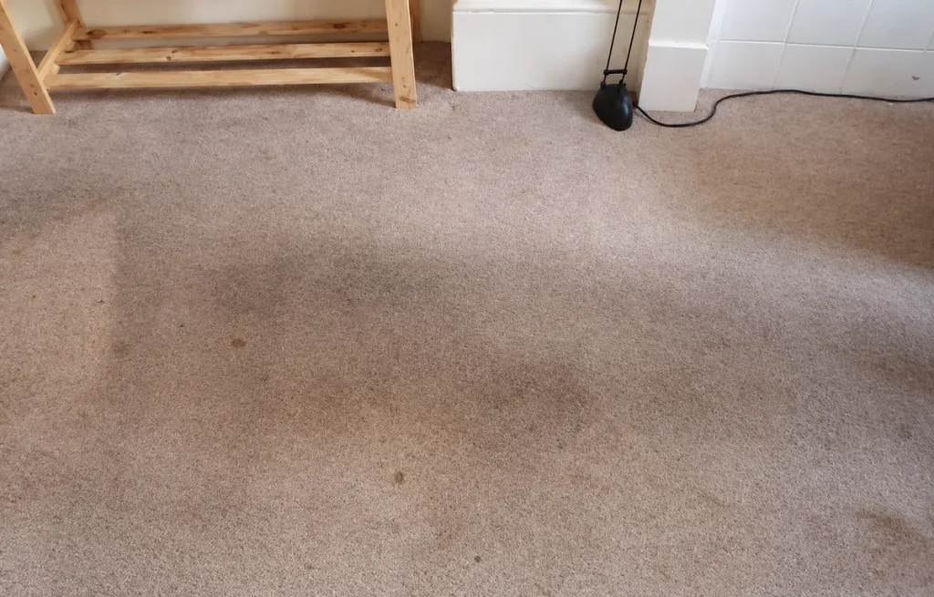 A freshly cleaned beige carpet in a room