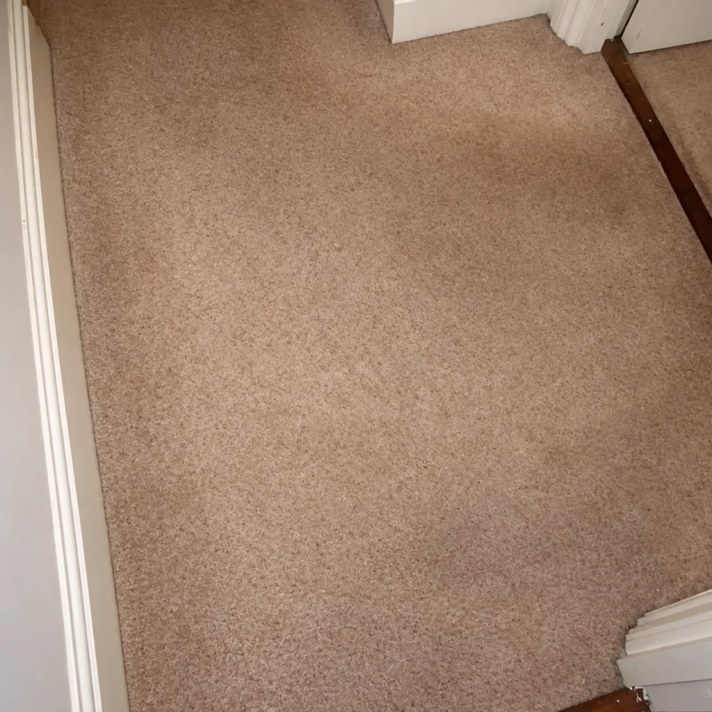A cleaned neutral carpet in a quiet room