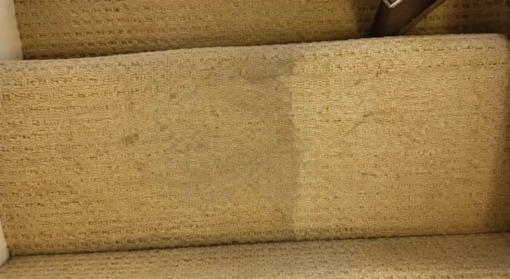 Close view of a cleaned textured carpet